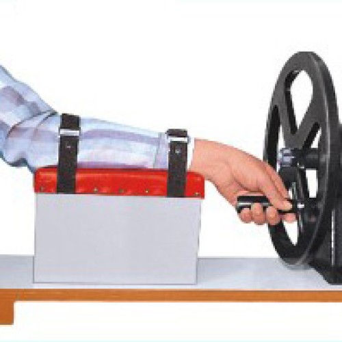Wrist roll, physiotherapy and rehabilitation equipment